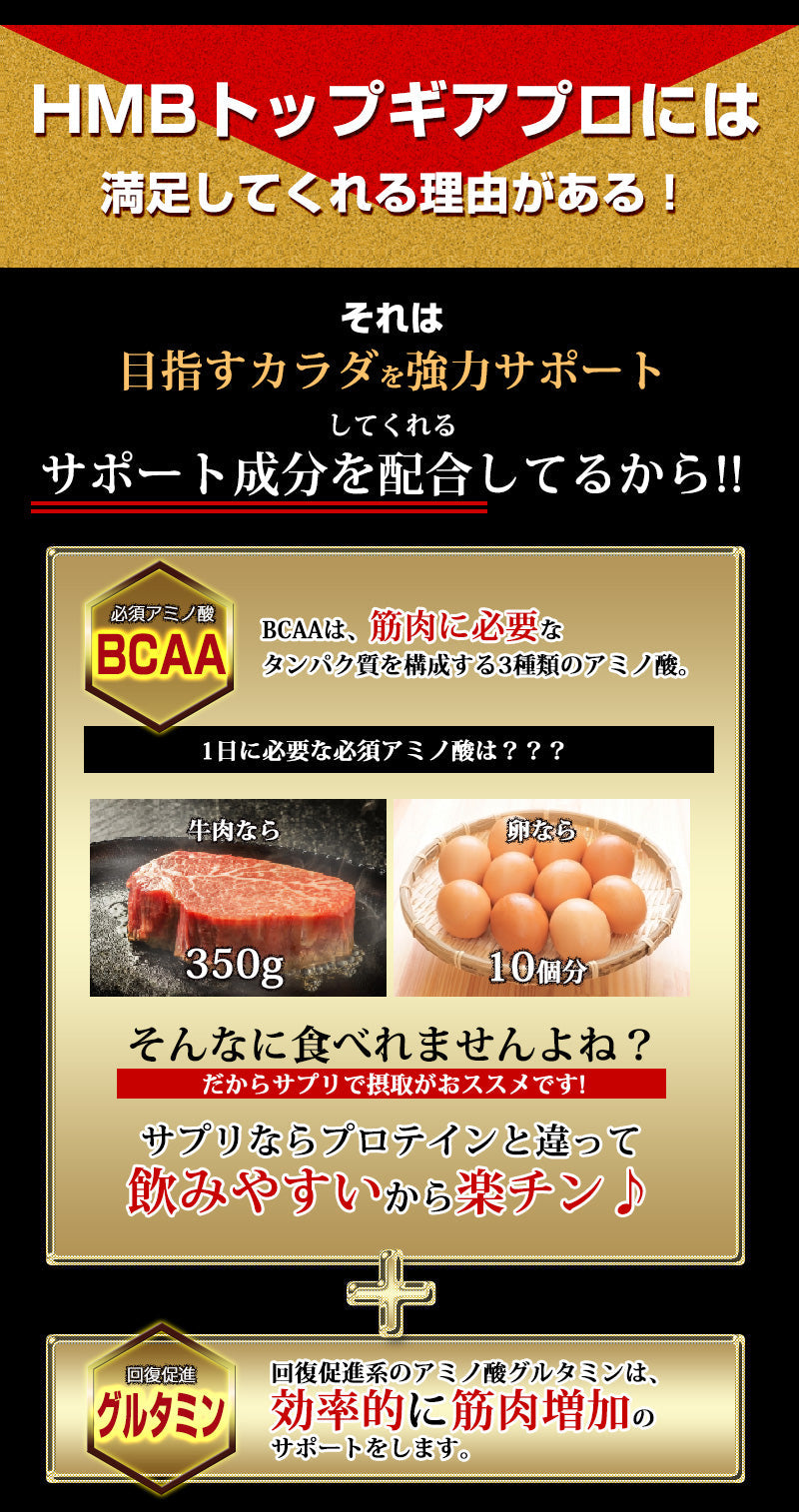 【お得３個セット】HMB トップギアプロ (HMB TOPGIA PRO) マッスルパワーを強力サポート! 筋肉 強力サポート 筋トレ マッスルパワー 中年太り 運動不足 プロテイン ダイエット 男性 筋トレ サプリメント シトルリン　アルギニン クレアチン カルニチン 亜鉛 マカ HMB スッポン マムシ BCAA 馬睾丸 日本 気力 活力 男力 バルクアップ 太く強く 最強のボディー