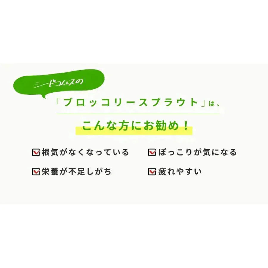 ブロッコリースプラウト《約3ヶ月分》 サプリ サプリメント 健康 女性 ダイエット スルフォラファン スーパーフード ブロッコリー スプラウト すっきり 栄養補給