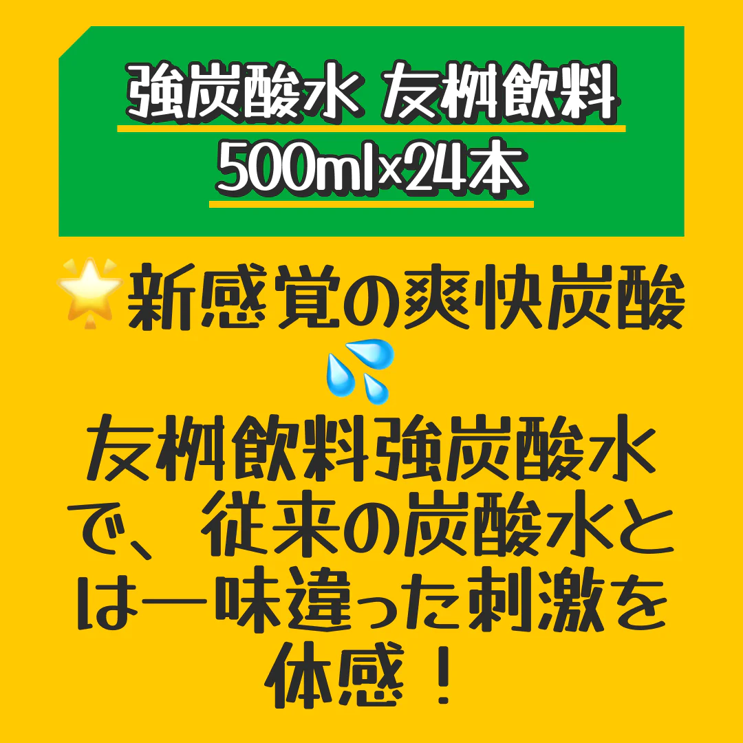 【ご新規さんとシェア買い】【1ケース】【送料無料】 友桝飲料 強炭酸水 500ml 24本 プレーン 友桝