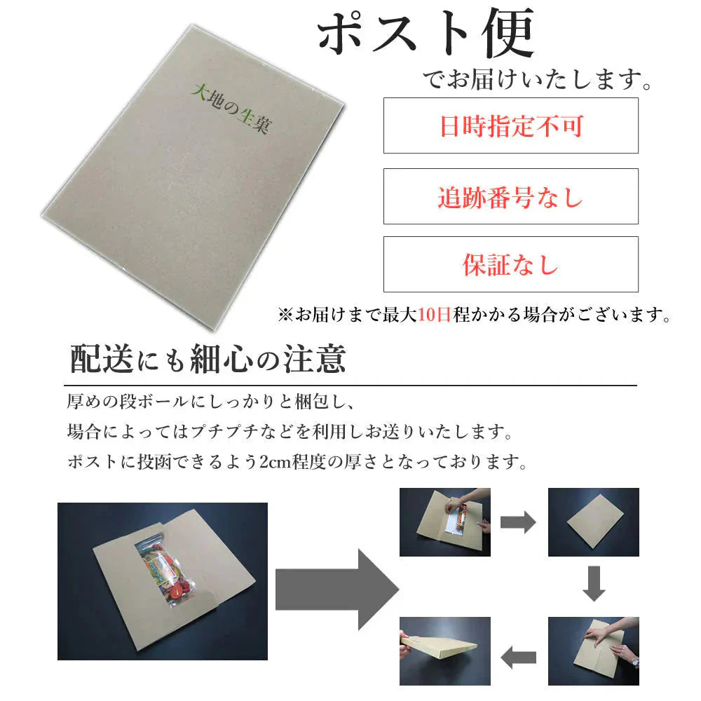 【100g】ドライレモン ドライフルーツ