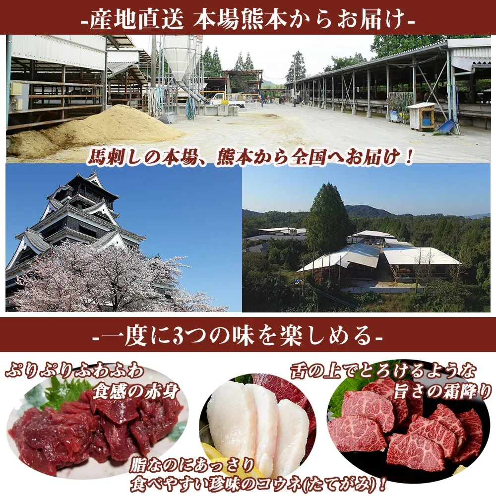 馬刺し 熊本 国産 3種食べ比べセット 約5人前 250g 赤身 霜降り たてがみ 馬刺 馬肉 お中元 お歳暮  ギフト プレゼント 贈り物 贈答 おつまみ