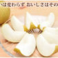 【7月下旬～8月上旬頃より順次出荷】幸水 梨 送料無料 クール便 訳あり 5kg 箱込 (内容量4kg+補償500g) お取り寄せ 熊本県産 ナシ 和梨
