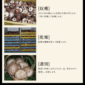 原木しいたけ 椎茸 肉厚 完全無農薬栽培 新潟県 佐渡産 60g