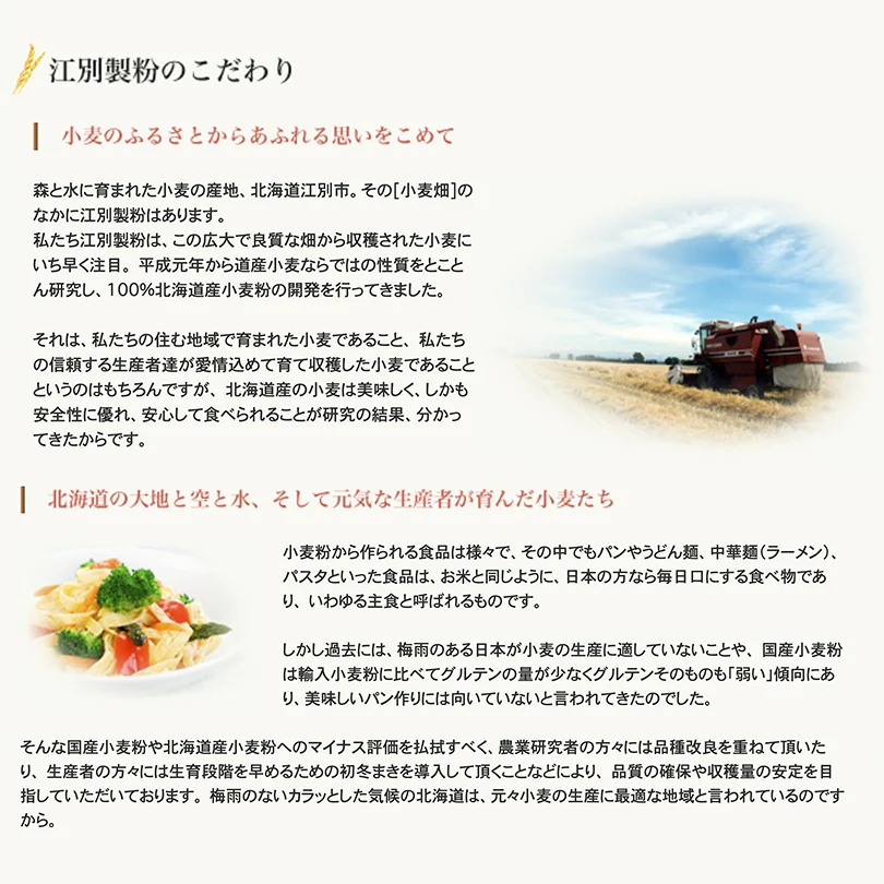 100％HOKKAIDO パンケーキミックス 450g 送料無料 メール便 江別製粉 北海道 大人気 お土産 ギフト プレゼント ホットケーキ 手作り