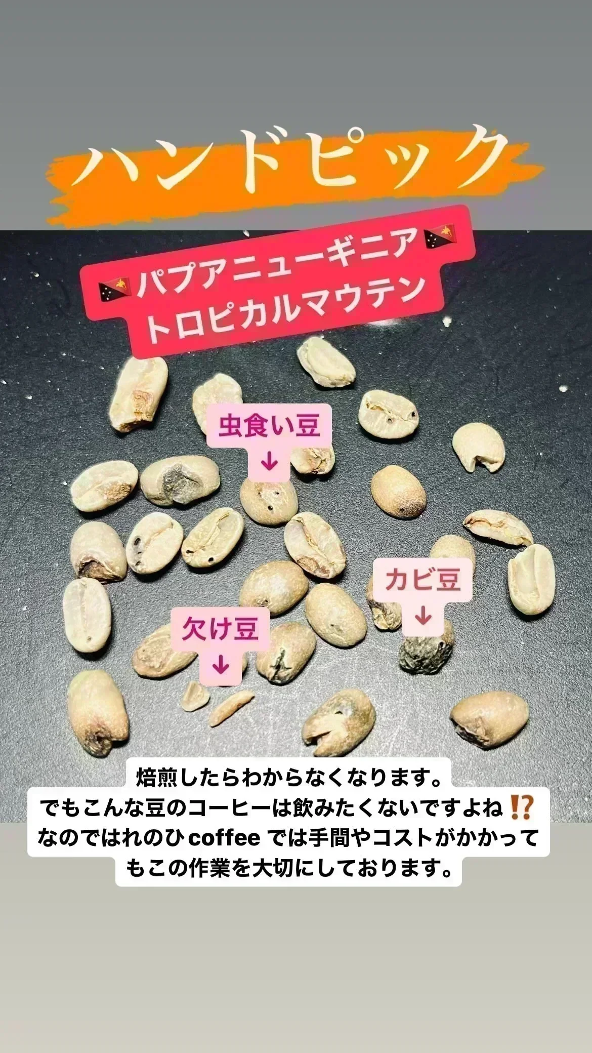 【お試し】「トロピカルマウンテン（パプアニューギニア🇵🇬）」 30g 豆 送料無料【カウシェファーム収穫対象商品】