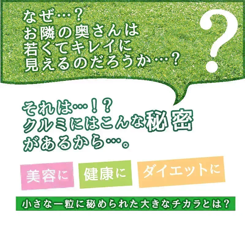 ＜旅する生クルミ500g（無添加・無塩）＞ ナッツ そのまま食べられる！ ミックスナッツ