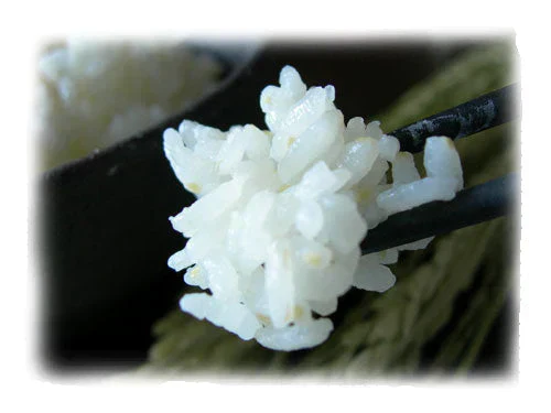 【令和7年産】無洗米 4kg 送料無料 一般の白米より栄養ぎっしり「米の力」 2キロ×2個セット 無洗米 2kg×2 九州産 米 送料無料