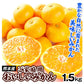 みかん　熊本産　おいしいみかん　1.5kg　サイズおまかせ　ご家庭用（発送予定：11月中旬より）
