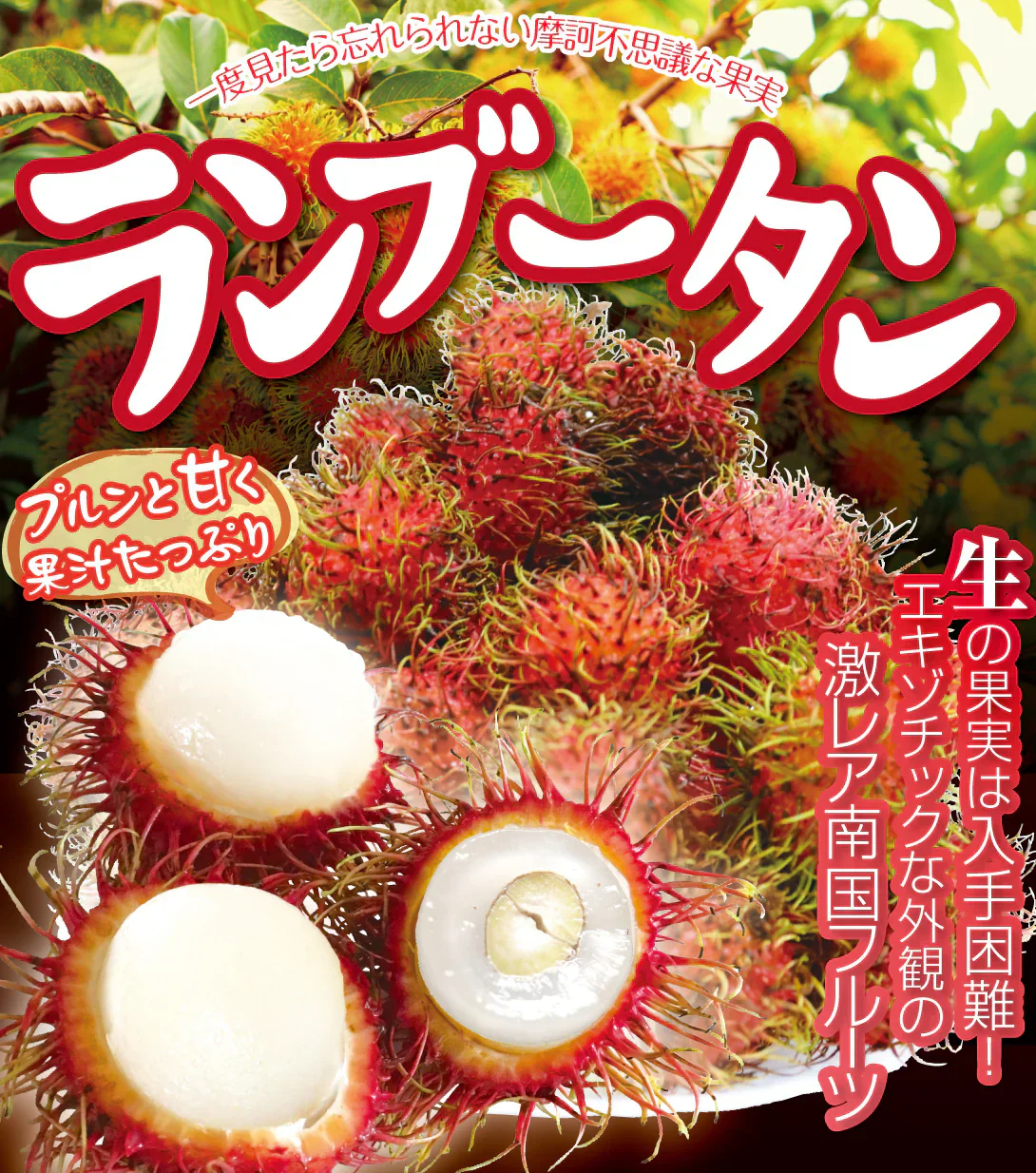 ランブータン 30玉 メキシコ産他