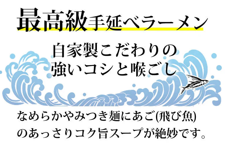 あごだしラーメン 2食セット 送料無料 お取り寄せ  ラーメン あごだし 長崎県産