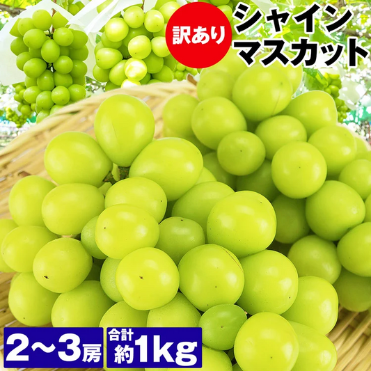 訳あり シャインマスカット 約1kg(2～3房) ご家庭用 お徳用 自宅用 お買い得 ぶどう 産地厳選 ブドウ 種無し 冷蔵便