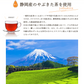 ゴクゴクすっきり 和紅茶 ティーバッグ 100個入 和紅茶 ティーバッグ 水出し紅茶 お茶 紅茶 国産 ポット用 ホット アイスティー 水出し 静岡茶 牧之原茶 ティーパック 送料無料 パック