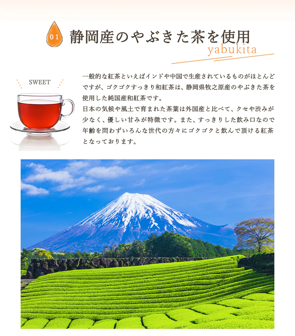 ゴクゴクすっきり 和紅茶 ティーバッグ 100個入 和紅茶 ティーバッグ 水出し紅茶 お茶 紅茶 国産 ポット用 ホット アイスティー 水出し 静岡茶 牧之原茶 ティーパック 送料無料 パック
