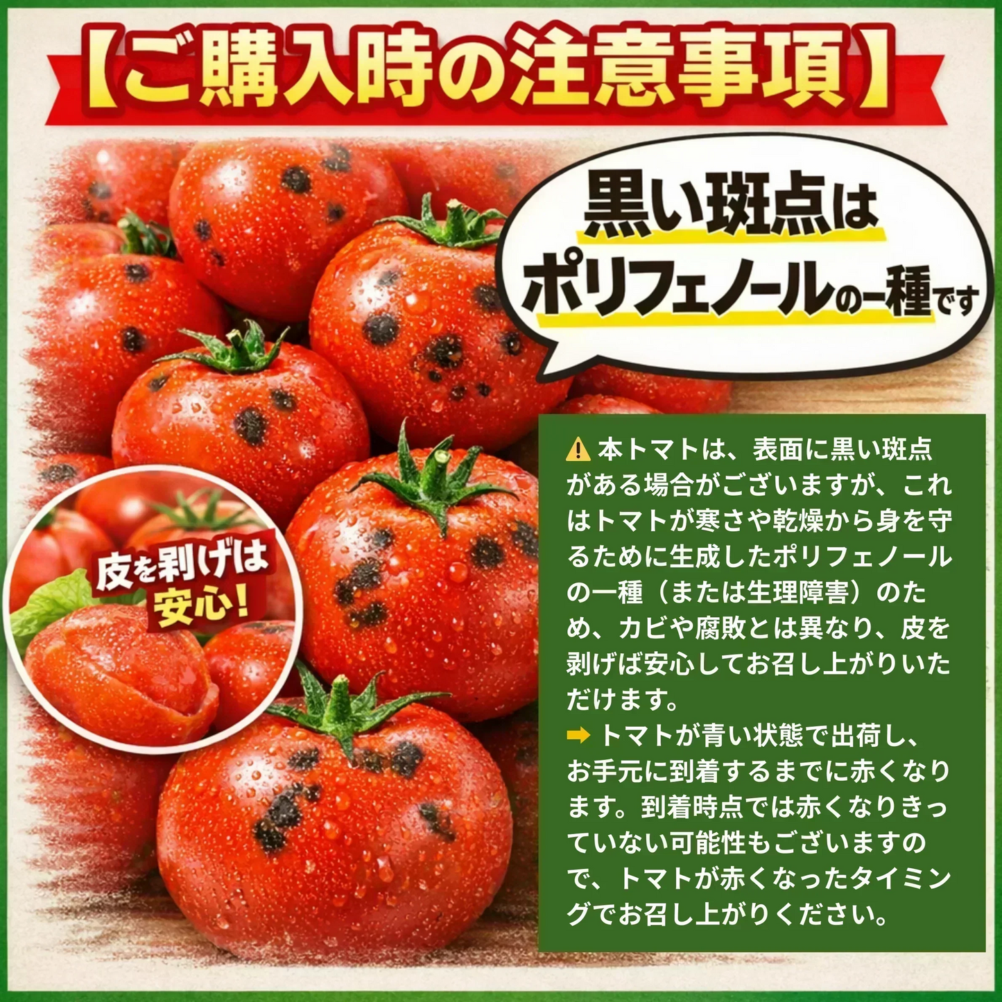 【予約商品・2026年10月初旬ごろ順次発送～2027年2月末までに発送】国産！家計応援価格！規格外品 中～大玉トマト 約500g（最低300g以上）(2玉～6玉) 【カウシェファーム収穫対象商品】