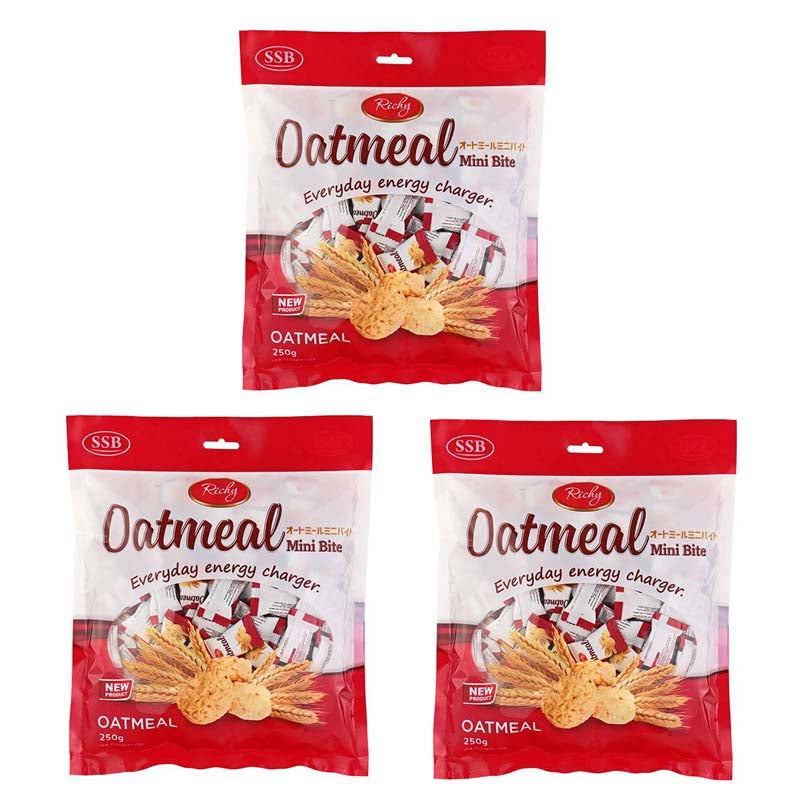 Richy オートミールミニバイト 250g×3袋セット oatmeal mini bite 個包装 大容量パック リッチー