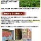 【10月中旬～下旬頃より順次出荷】さつまいも 紅はるか 訳あり 10kg 箱込（内容量9kg＋不良補償分500g) 送料無料 無選別 べにはるか 熊本・宮崎県産 サツマイモ 紅蜜芋 焼き芋 芋 いも