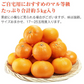 せとか みかん 5kg 愛媛県産 JAえひめ中央 柑橘 大トロ 高級 フルーツ ギフト 常温便【フレッシュセール】