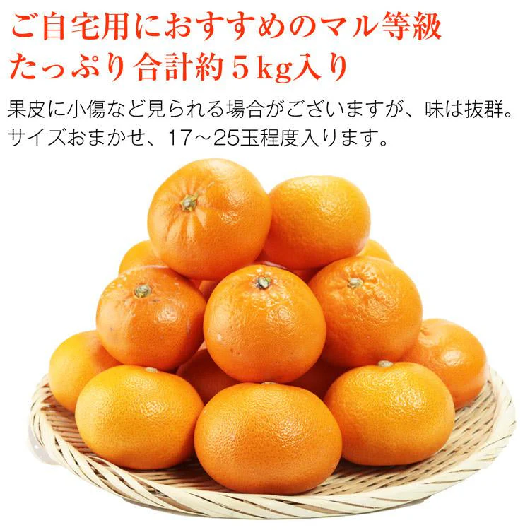 せとか みかん 5kg 愛媛県産 JAえひめ中央 柑橘 大トロ 高級 フルーツ ギフト 常温便【フレッシュセール】