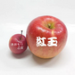 青森りんご ミニふじあおもり乙女 送料込 小さくかわいいリンゴ食べきりサイズ 家庭用訳あり１㎏約20個入甘味がありシャキシャキ！【6039】