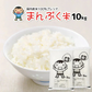 白米 10kg (5kg×2袋) まんぷく米 国内産 送料無料 米10キロ こめ コメ お米 お米10kg