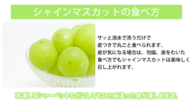 【7月下旬～8月上旬頃より順次出荷】〈クール便でお届け〉 シャインマスカット ぶどう 送料無料 1kg 2〜3房 九州産 マスカット 葡萄 ブドウ