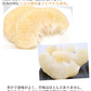 晩白柚 みかん ばんぺいゆ 送料無料 特選 約3kg～4kg 2玉入 M〜2Lサイズ 世界最大級の柑橘 熊本県八代産 蜜柑 ミカン