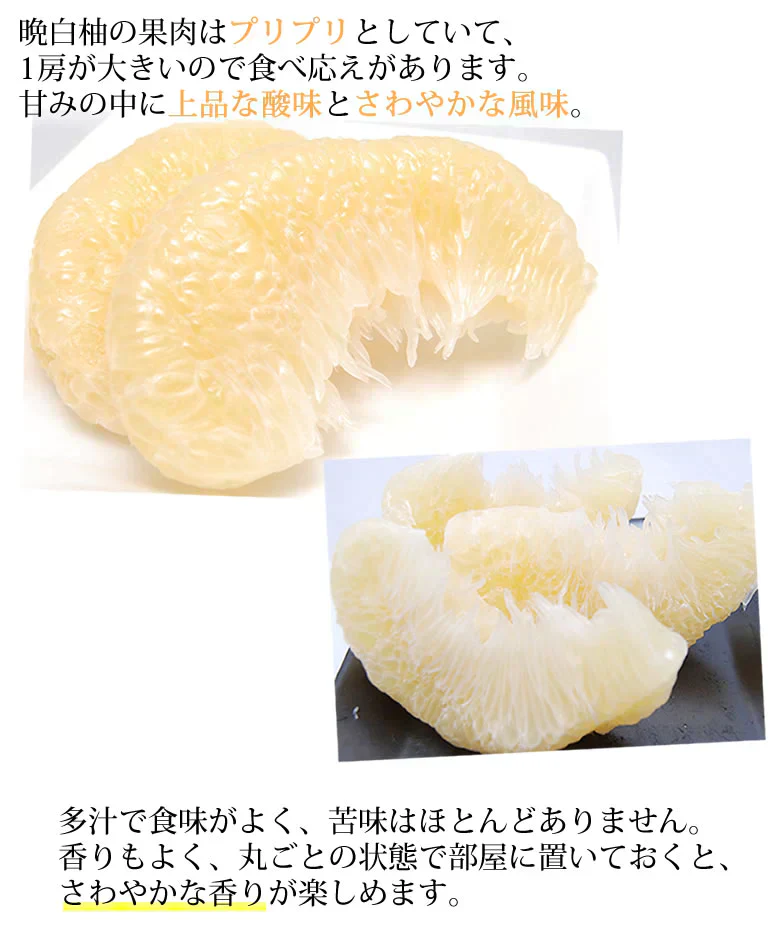 晩白柚 みかん ばんぺいゆ 送料無料 特選 約3kg～4kg 2玉入 M〜2Lサイズ 世界最大級の柑橘 熊本県八代産 蜜柑 ミカン