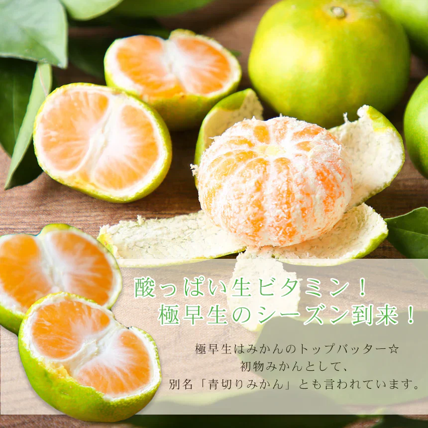 みかん　極早生　５ｋｇ　ｆ極０５　家庭用　中玉　愛媛　吉田みかん　果物　フルーツ　柑橘