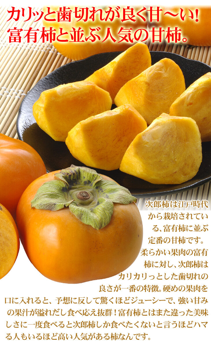 【数量限定】次郎柿 ご家庭用 約10kg 愛知産 甘柿（発送予定：10月下旬より）