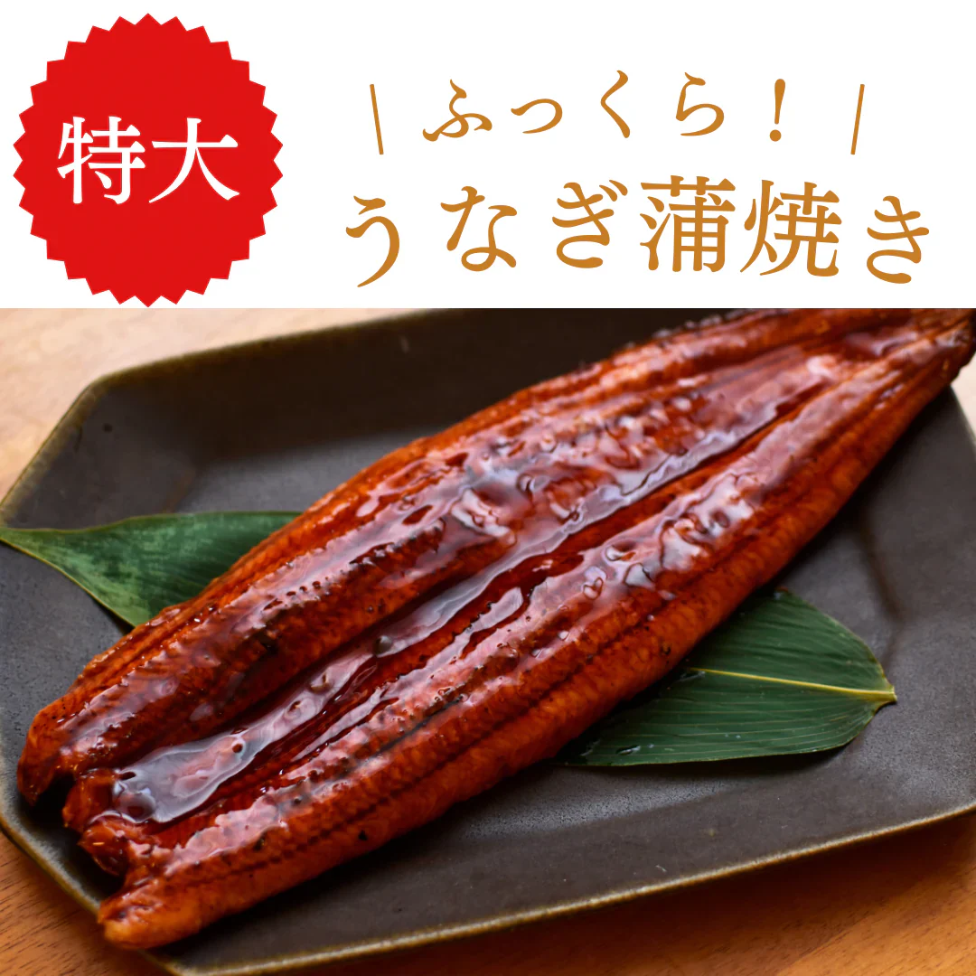 【特大！】うなぎ蒲焼き 400g/冷凍クール便