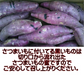 訳あり 紅はるか 1.5キロ 新物 サイズおまかせ さつまいも 蜜芋 熊本産 送料無料 60サイズ