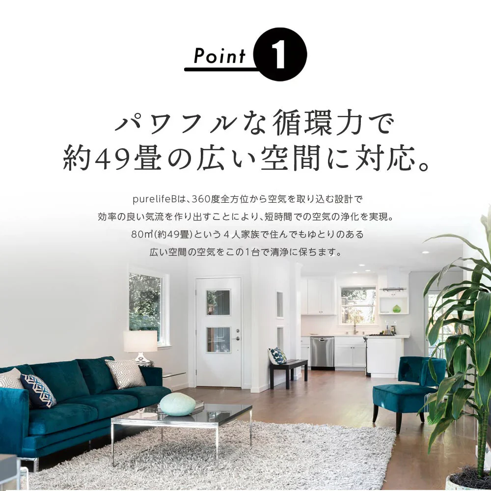 空気清浄機 Purelife B 80㎡タイプ NT-D002B
