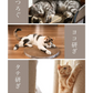 バリバリミュージアム -フェルメール絵画風-  爪とぎハウス◆ ねこの爪とぎ キャットハウス ペットハウス ダンボール 段ボール 爪とぎ 爪研ぎ つめとぎ 猫 ネコ 猫用品 ペット ぺっと グッズ  画家 顔ハメ 絵 額 オシャレ かわいい 猫の日 おしゃれ