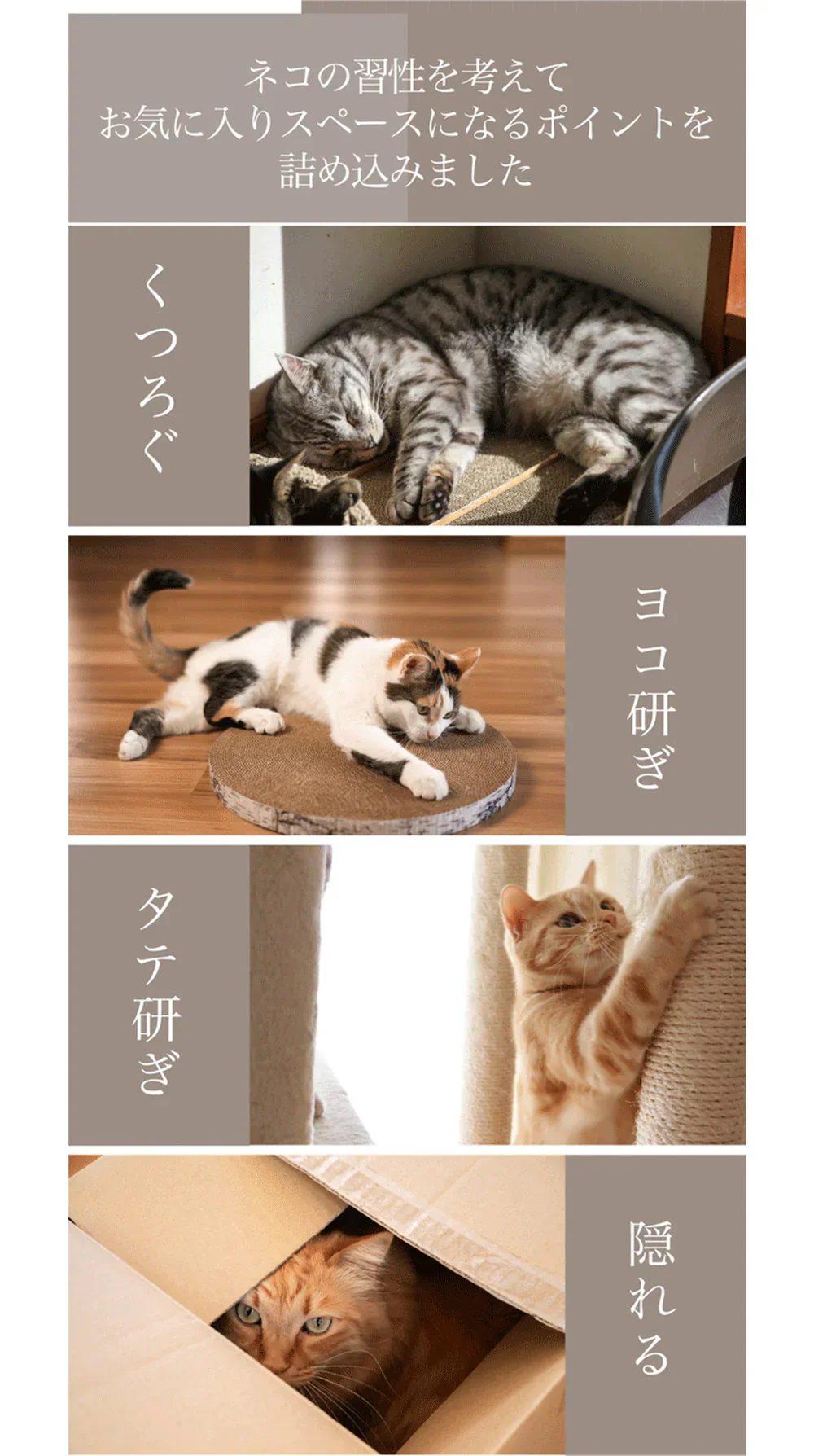 バリバリミュージアム -フェルメール絵画風-  爪とぎハウス◆ ねこの爪とぎ キャットハウス ペットハウス ダンボール 段ボール 爪とぎ 爪研ぎ つめとぎ 猫 ネコ 猫用品 ペット ぺっと グッズ  画家 顔ハメ 絵 額 オシャレ かわいい 猫の日 おしゃれ