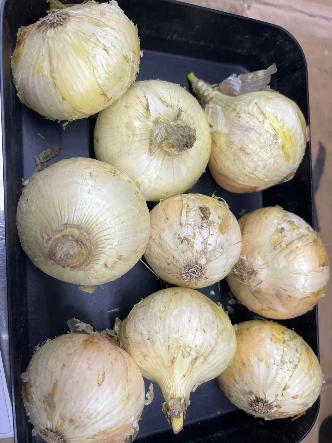 たまねぎ 約900g〜1kg「補償分600g、本商品300g」 60サイズ※全国配送可能【カウシェファーム収穫対象商品】新玉ねぎ