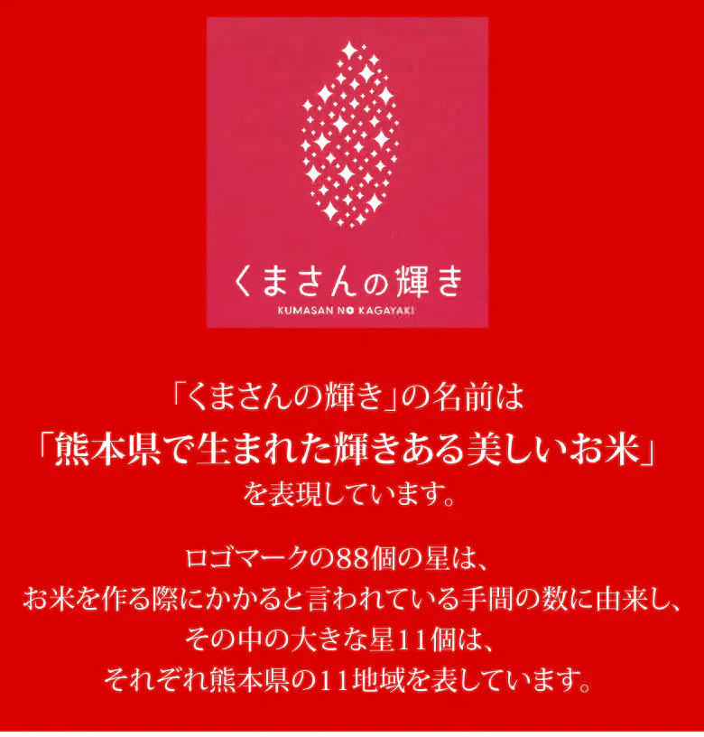 くまさんの輝き 米 10kg (5kg×2） 送料無料 令和5年産 熊本県産 お米 白米 玄米 コシヒカリ ヒノヒカリ 森のくまさん