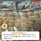肉巻きおにぎり棒 送料無料 50g×8本 肉巻きおにぎり 宮崎名物 お試し お取り寄せ お取り寄せグルメ 焼き鳥 焼肉 おつまみ 豚肉 コシヒカリ