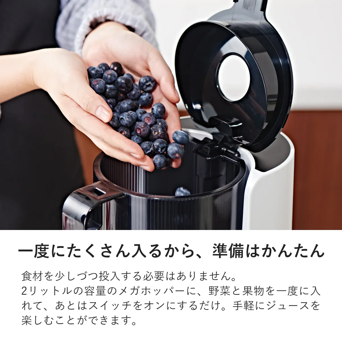 ヒューロム スロージューサー H-200（ホワイト）