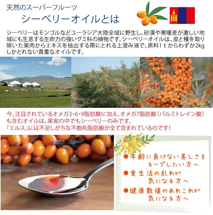 豊生エルス 90粒◆ サプリ　健康食品 栄養補助食品 サプリメント 植物由来オイル 健康 ビタミンE オメガ7 シーベリー オメガ3 α-リノレン酸 パルミトレイン酸 コリン 豊生大豆レシチン倶楽部