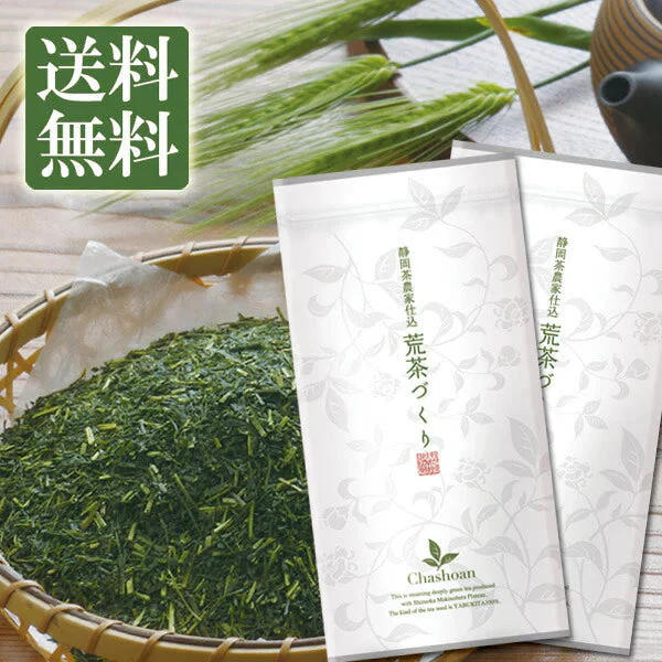 【2個セット】日本橋いなば園 静岡深蒸し茶 荒茶づくり 100g ネコポス メール便送料無料
