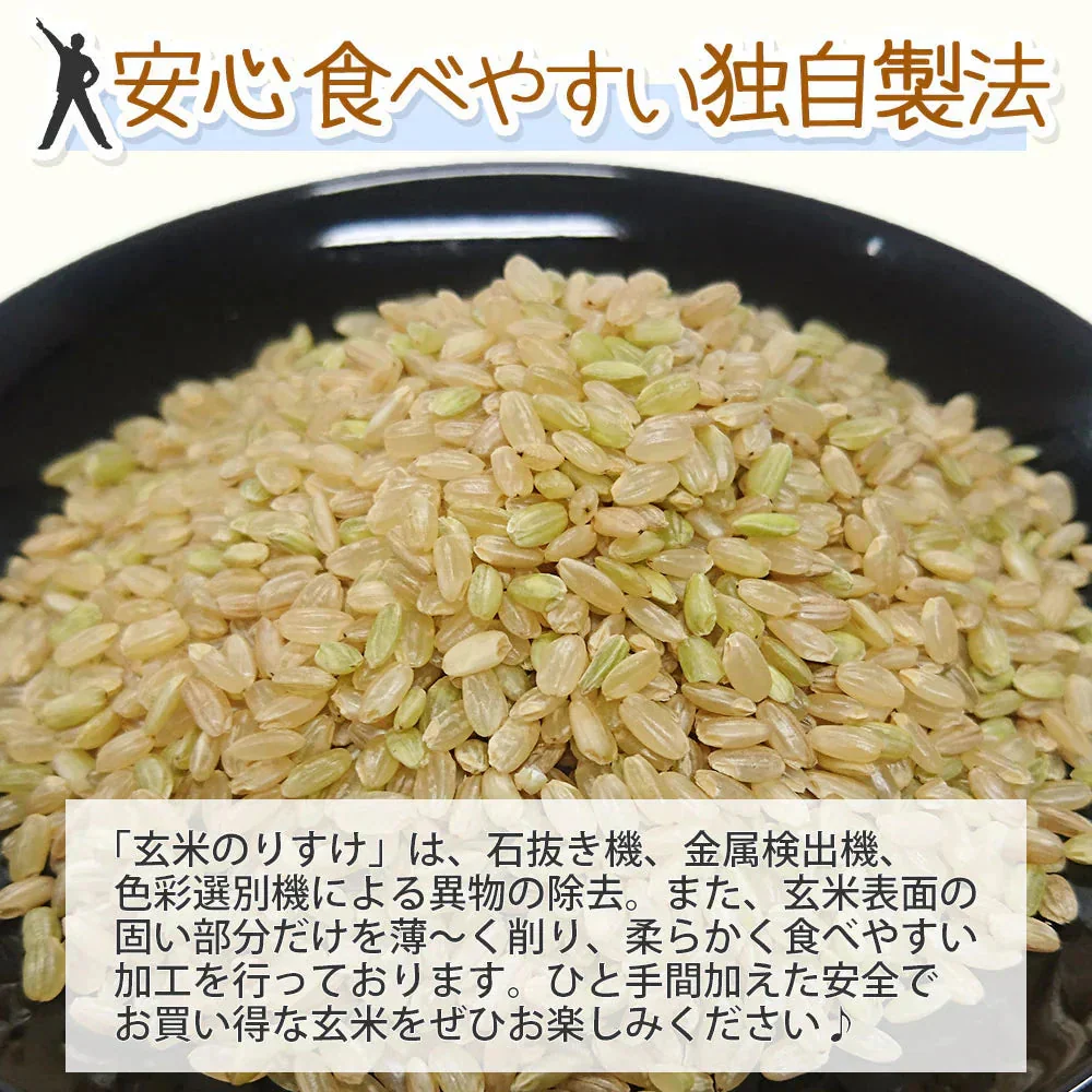 玄米 10kg (5kg×2袋) 玄米のりすけ 国内産 送料無料 玄米10キロ こめ コメ お米 お米10kg お米10キロ
