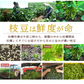 【8月中旬～下旬頃発送】山形 セレクション だだちゃ豆 1kg 枝豆 豆 まめ えだまめ 有機肥料栽培 低農薬栽培