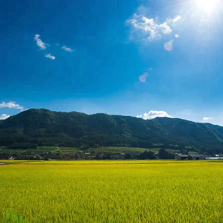 大分県玖珠九重の棚田米 無洗米 ひとめぼれ 2kg×1 全国一律送料無料 令和7年産