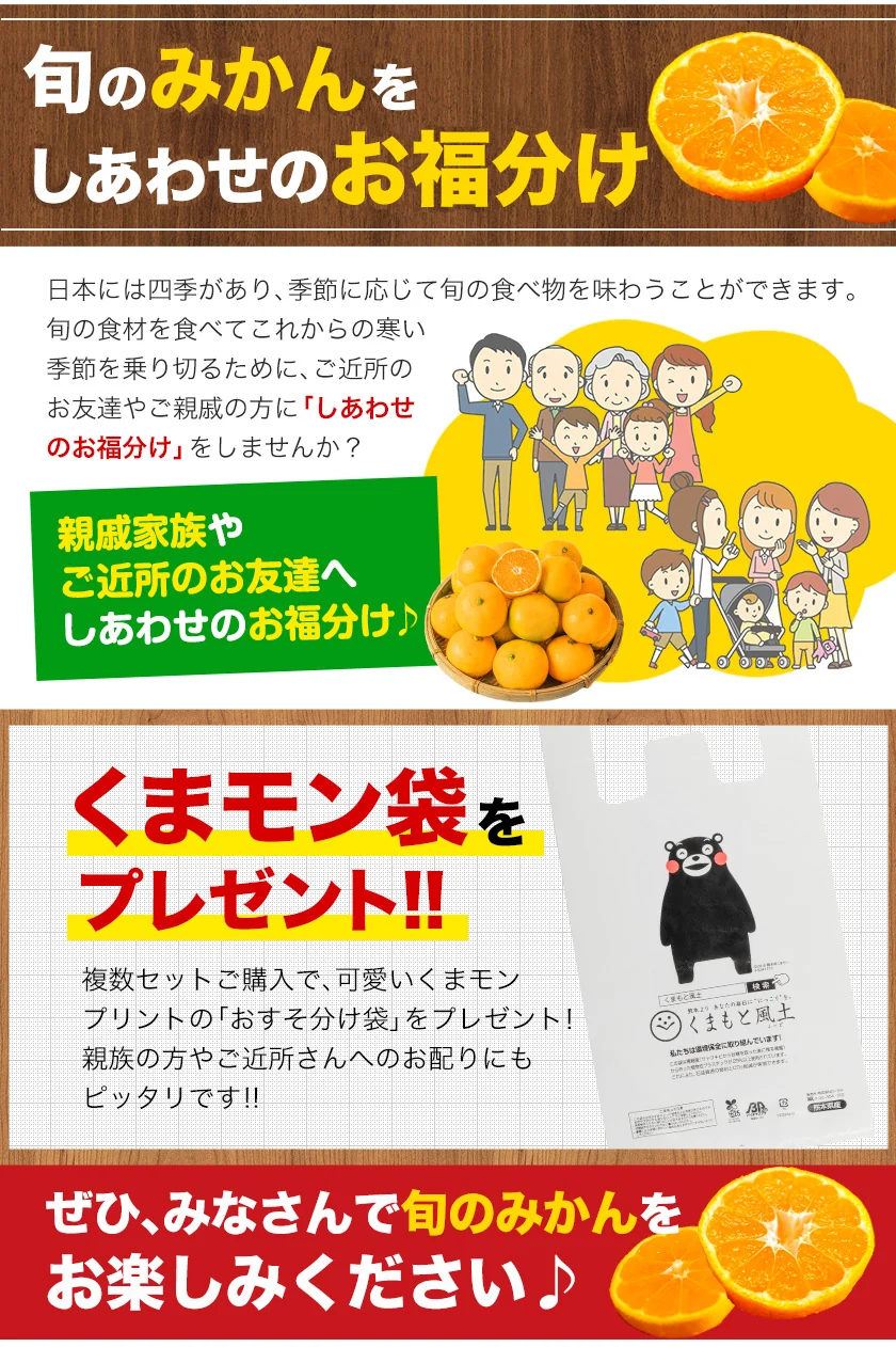 【大容量】熊本県産 訳あり 小玉 みかん 9kg 熊本 送料無料 小玉みかん ミカン フルーツ お取り寄せ 柑橘 フルーツ 果物   《9月中旬-10月中旬頃より発送予定》