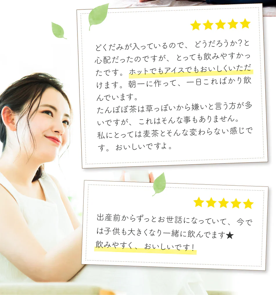 どくだみたんぽぽ茶　ポット用３０個入
