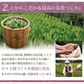 【2個セット】日本橋いなば園 静岡県産 高級深蒸し茶 たくみ 100g メール便 送料無料