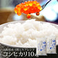 【無洗米】 コシヒカリ5割入りブレンド 10kg 山形県産 令和6年産 送料無料 無洗米10キロ こめ コメ お米 新米 お米10kg こしひかり
