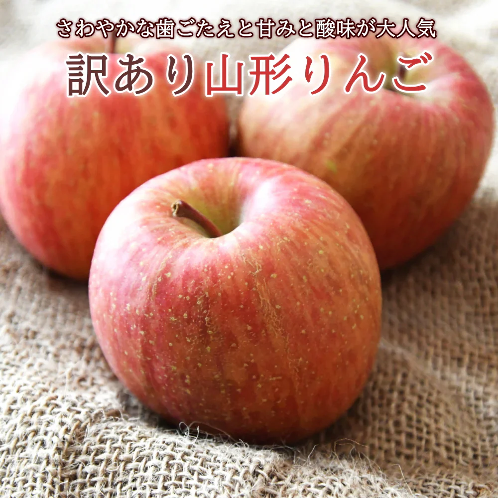 【12月上旬-下旬頃ご注文受付順次】訳ありりんご サンふじ ふじ 山形県産 10kg前後 バラ詰め サンフジ ふじ りんご 林檎  リンゴ 山形産 産直 送料無料