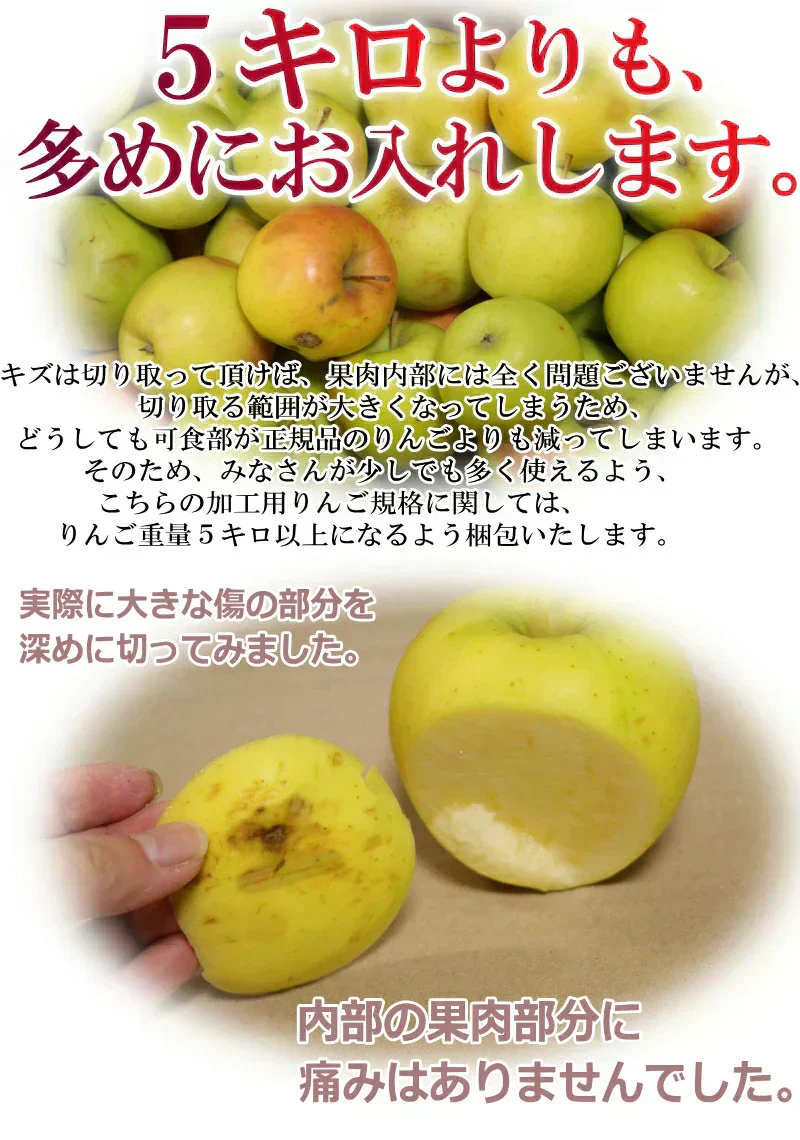 青森県産 りんご 金星 5kg箱【加工用】　★金星 加 5kg 箱