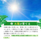 沖縄県産　モリンガ《約1ヶ月分》 モリンガ 粒 150粒 無農薬栽培 着色料 保存料 不使用